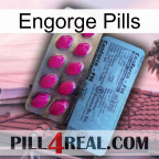 Engorge Pills 35